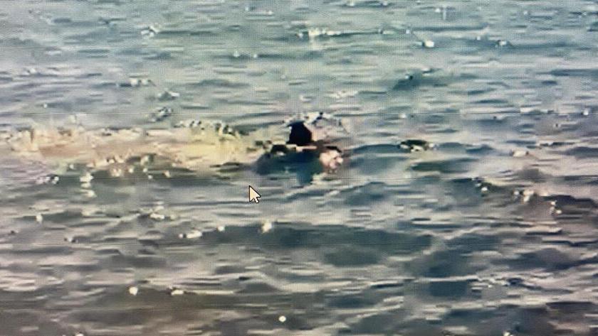 La manta nel mare davanti alla costa di Ronchi