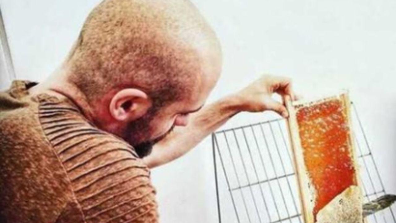 Da Livorno alla conquista del mondo: il miele in culla di Nugola trionfa a Londra