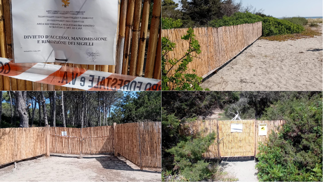 Sotto sequestro la pineta fronte mare