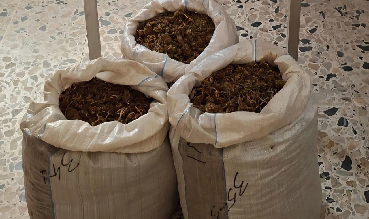 Nove chili di droga nascosti nell’ovile: arrestato