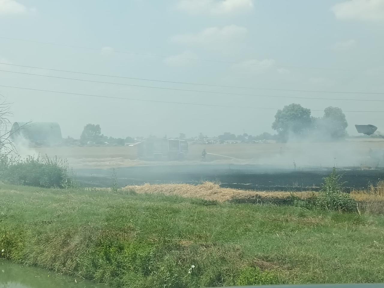 Campo di grano in fiamme tra Cona e Gaibanella. Fumo visibile dalla Super
