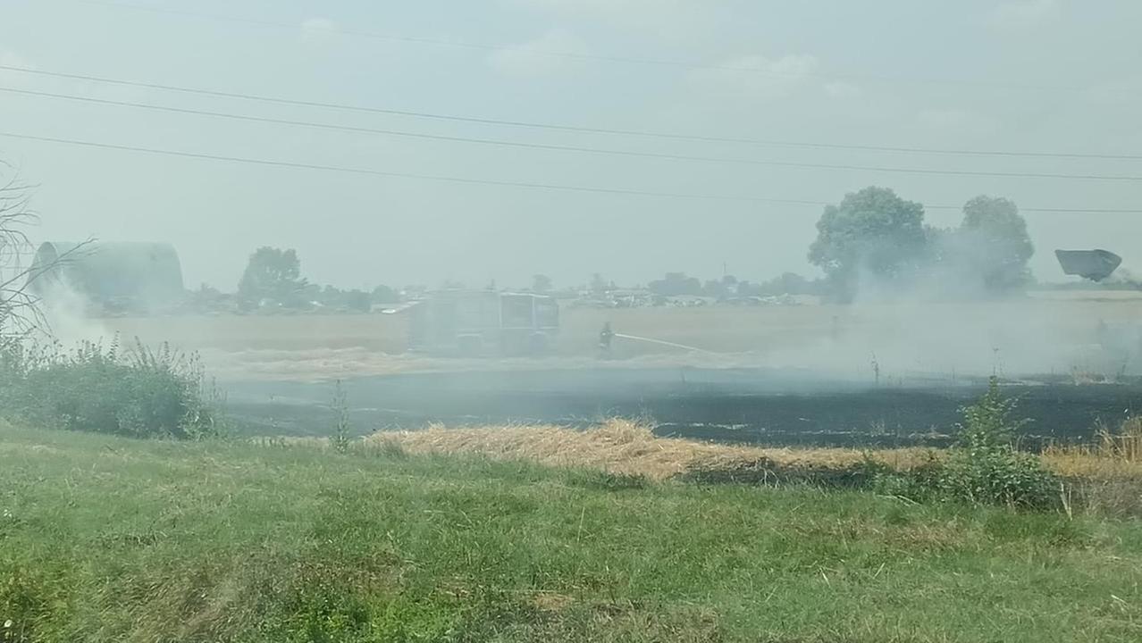 Campo di grano in fiamme tra Cona e Gaibanella. Fumo visibile dalla Super