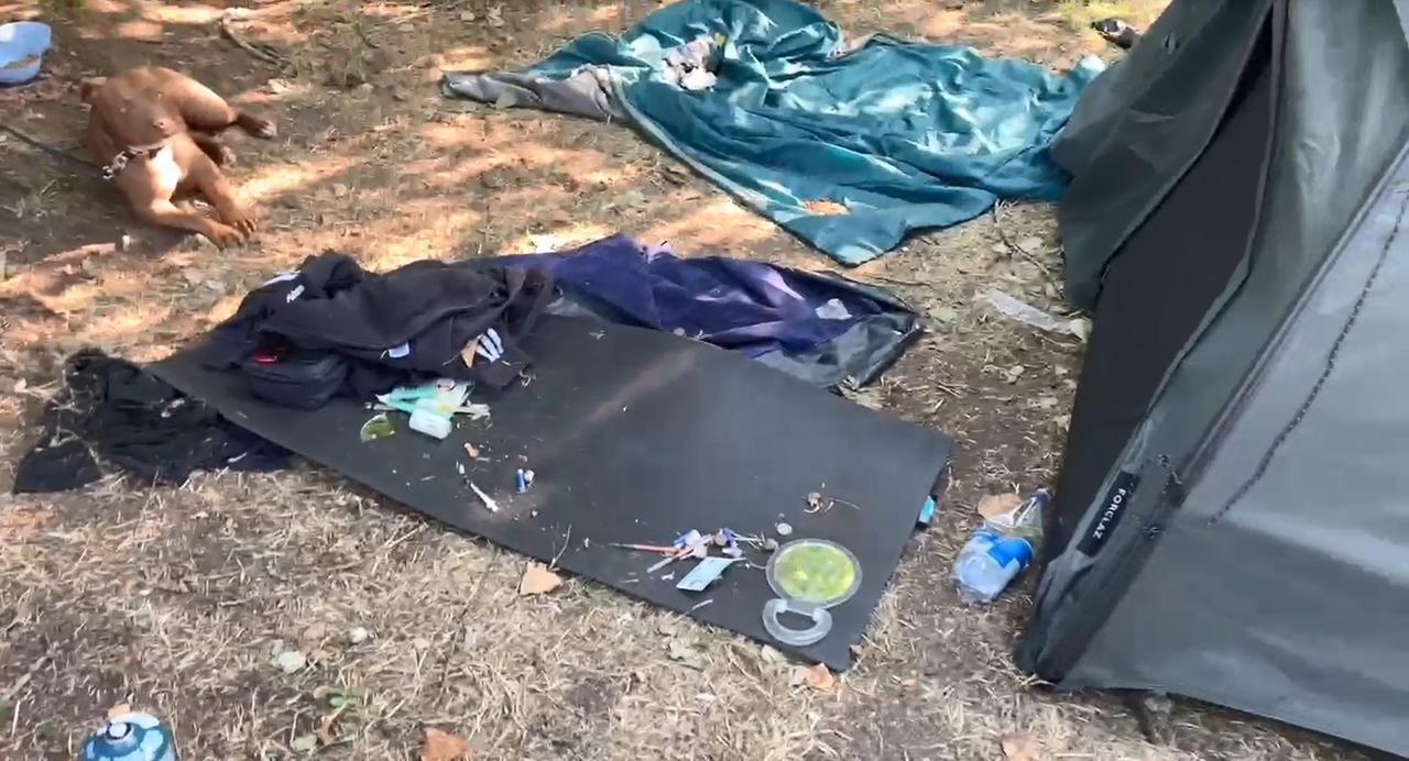 Chiamati per salvare un cane abbandonato, trovano droga e siringhe a Ferrara