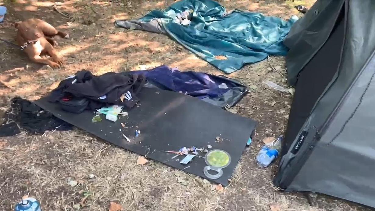 Chiamati per salvare un cane abbandonato, trovano droga e siringhe a Ferrara