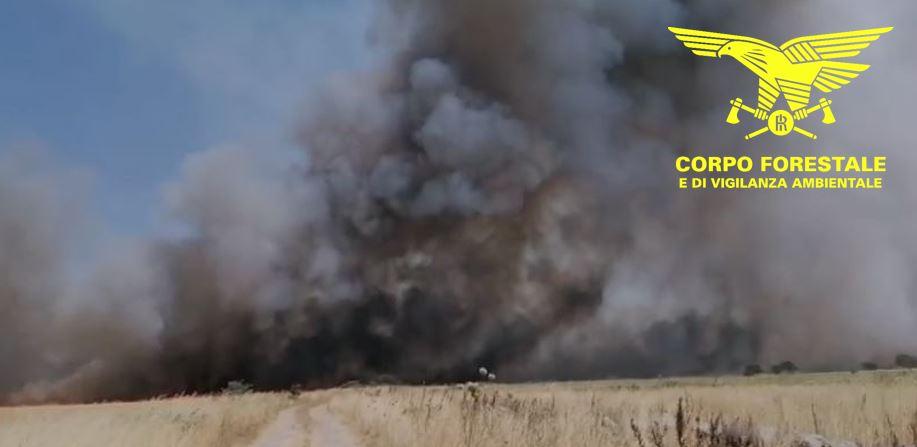 Ozieri, vasto incendio in corso: arriva il Canadair da Ciampino