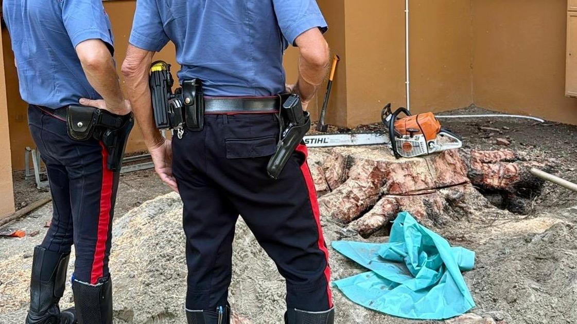 Si amputa il piede con la motosega durante il giardinaggio. Incidente sul lavoro a Lido Spina