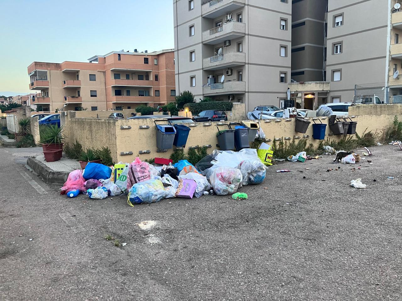 Olbia, il sindaco ammette: «Rifiuti, il servizio è pessimo. Lo cambiamo»