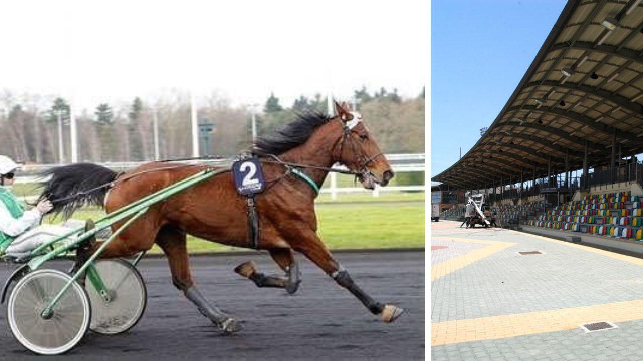 
	Una foto di Fawley Buissonay dalla pagina facebook della associazione di volontariato Horse Angels

