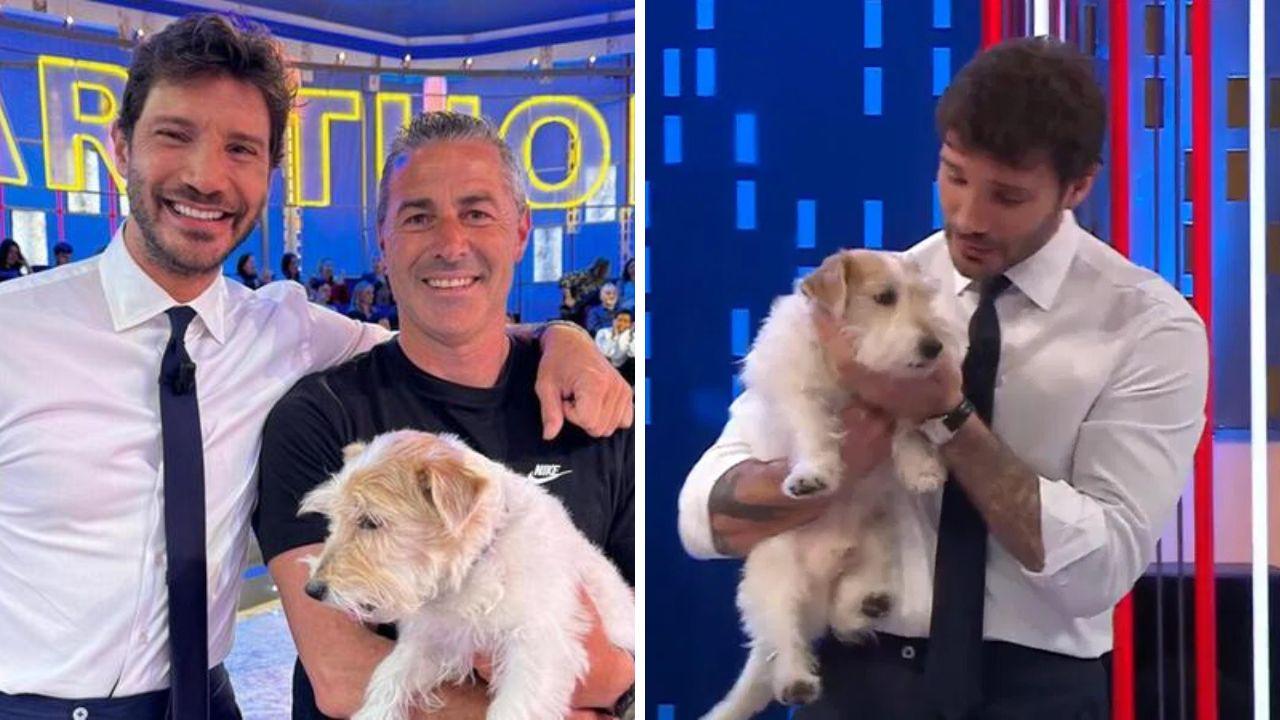 Gennarino, Stefano De Martino e l'addestratore Orlandi