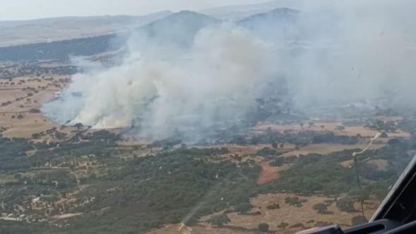 Giornata di fuoco in Sardegna: 14 incendi, in azione canadair ed elicotteri
