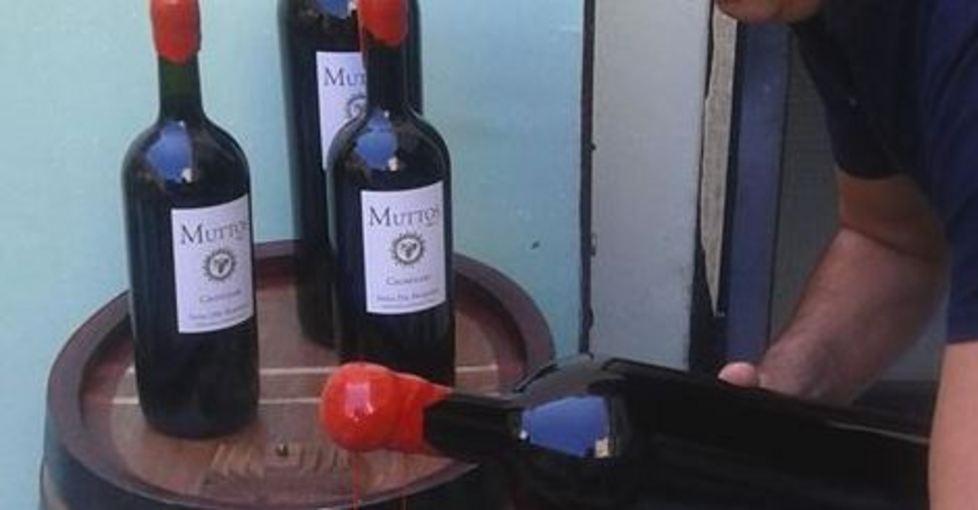 Una piccola cantina sfida i grandi vini della Sardegna