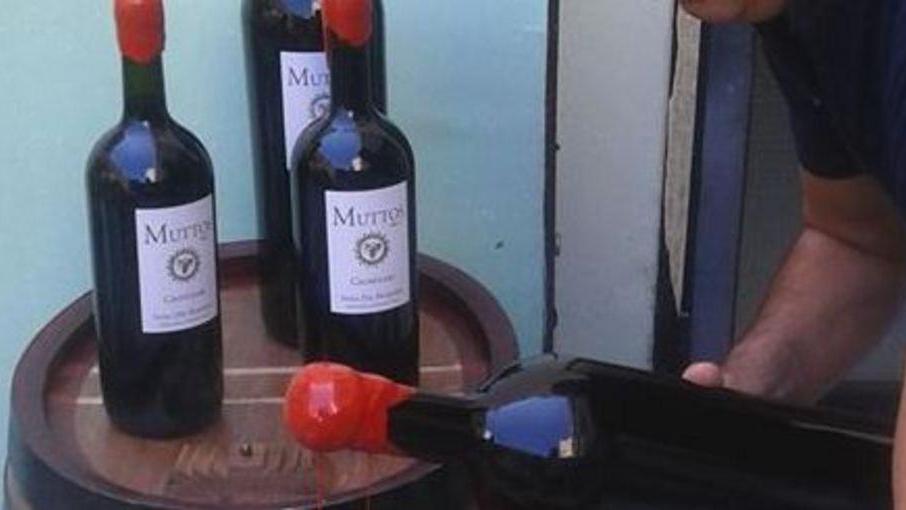 Una piccola cantina sfida i grandi vini della Sardegna