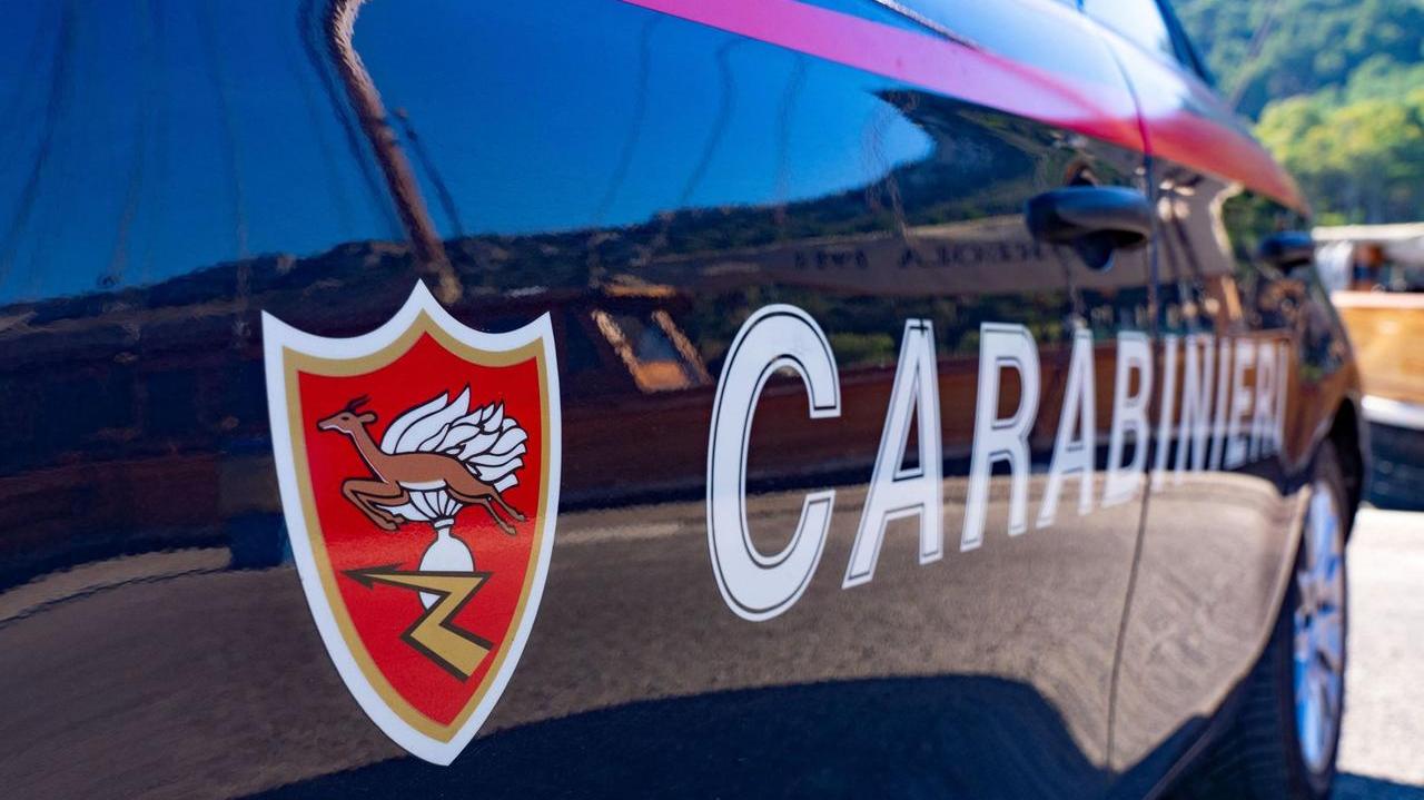 In due violano la misura cautelare e aggrediscono i carabinieri: arrestati
