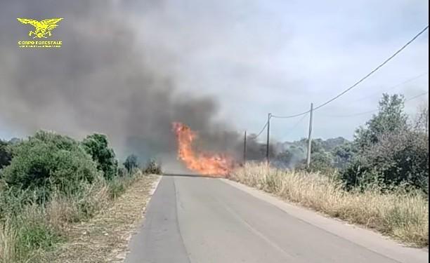 Incendio vicino alla Saras: arrestato il presunto colpevole