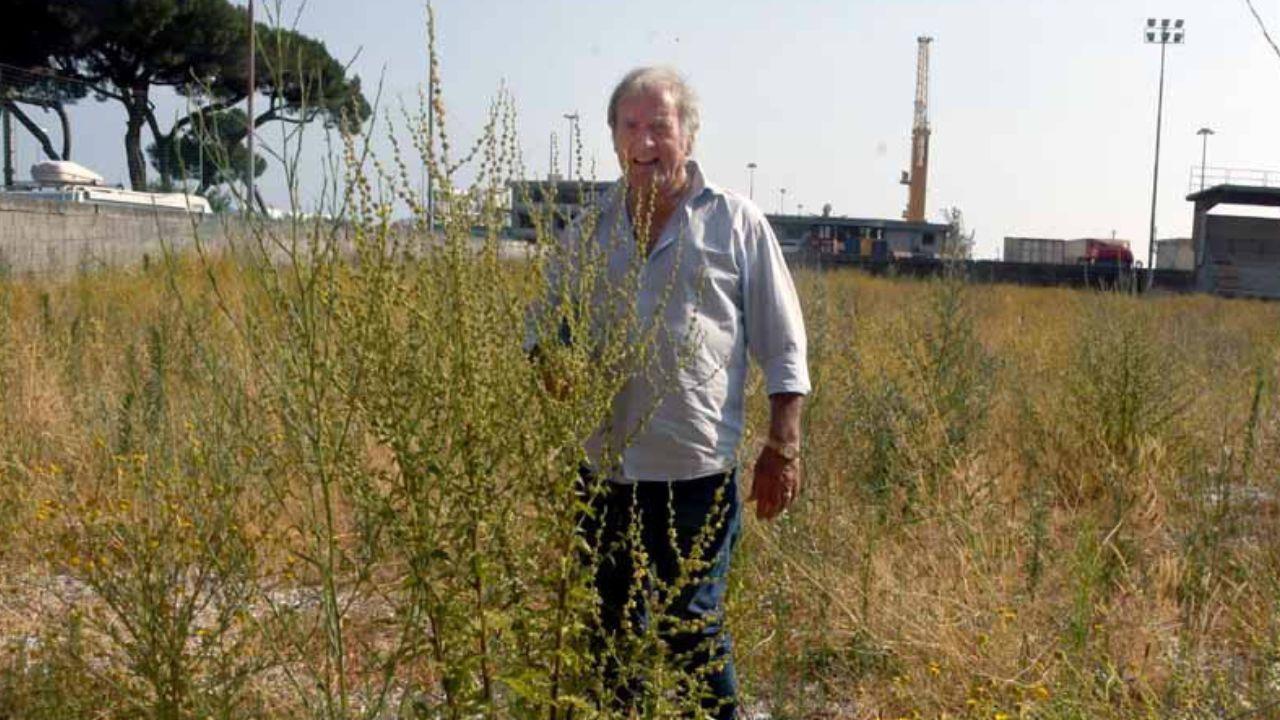 Ademaro Vanelli