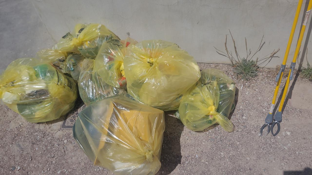 Livorno, via i rifiuti dal moletto di Ardenza: volontari all’opera