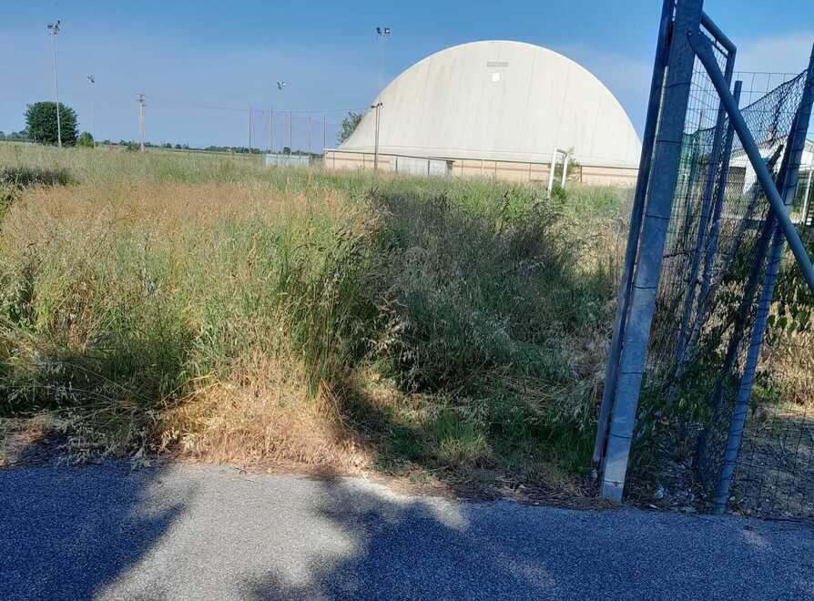 Campo da calcio, a Pilastri un degrado che fa male