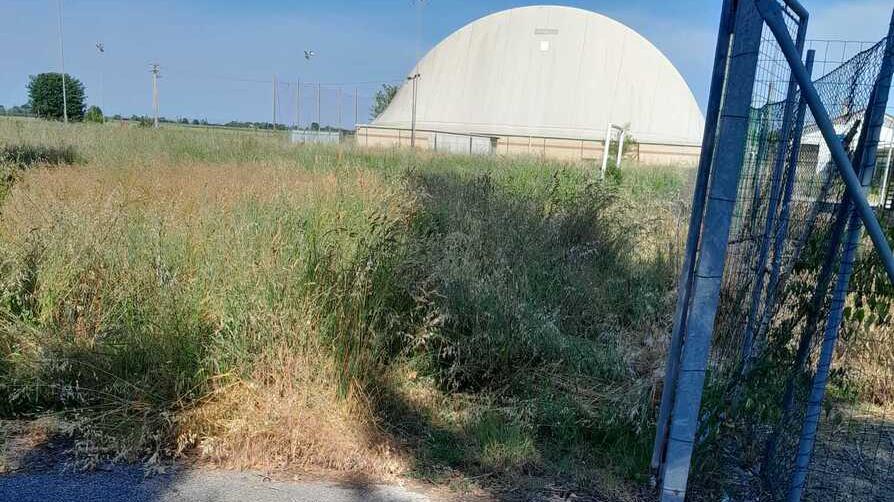Campo da calcio, a Pilastri un degrado che fa male