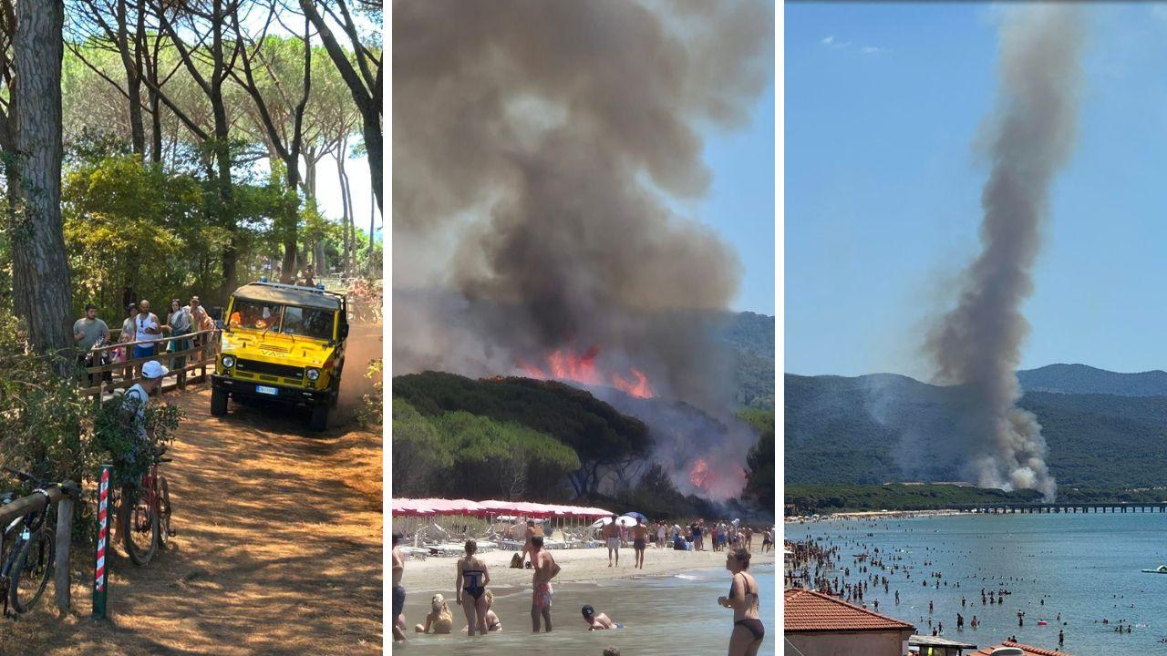 
	Il maxi incendio in pineta

