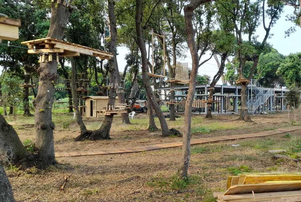 
	I lavori in corso per l'apertura del Versilia Adventure Park

