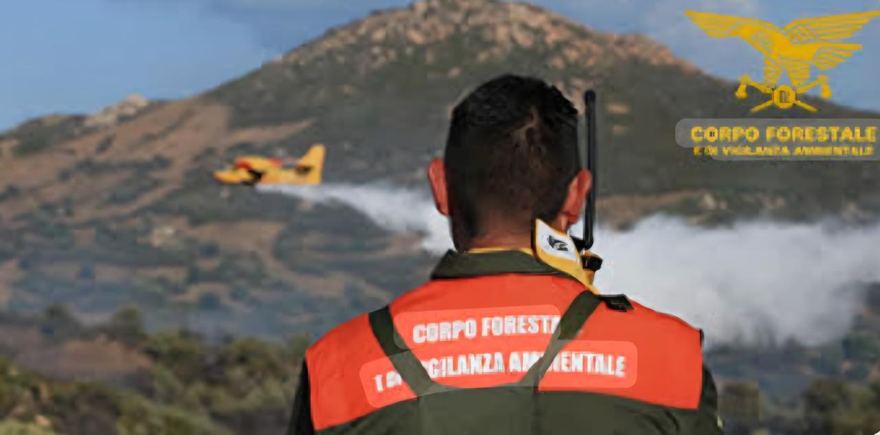 Incendi in Sardegna: denunciate nove persone