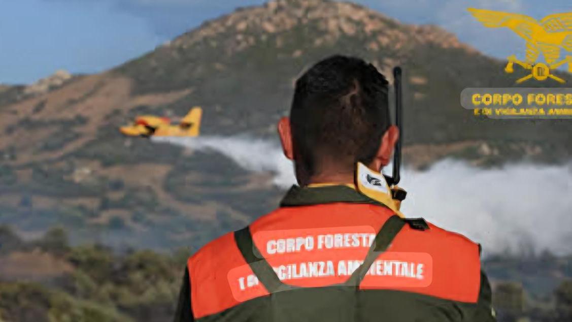 Incendi in Sardegna: denunciate nove persone