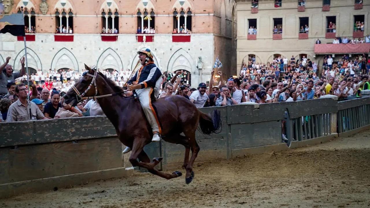 Dino Pes vincitore de Palio di Siena 2024