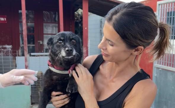 Elisabetta Canalis al canile di Olbia: «Adottare è meraviglioso» – VIDEO