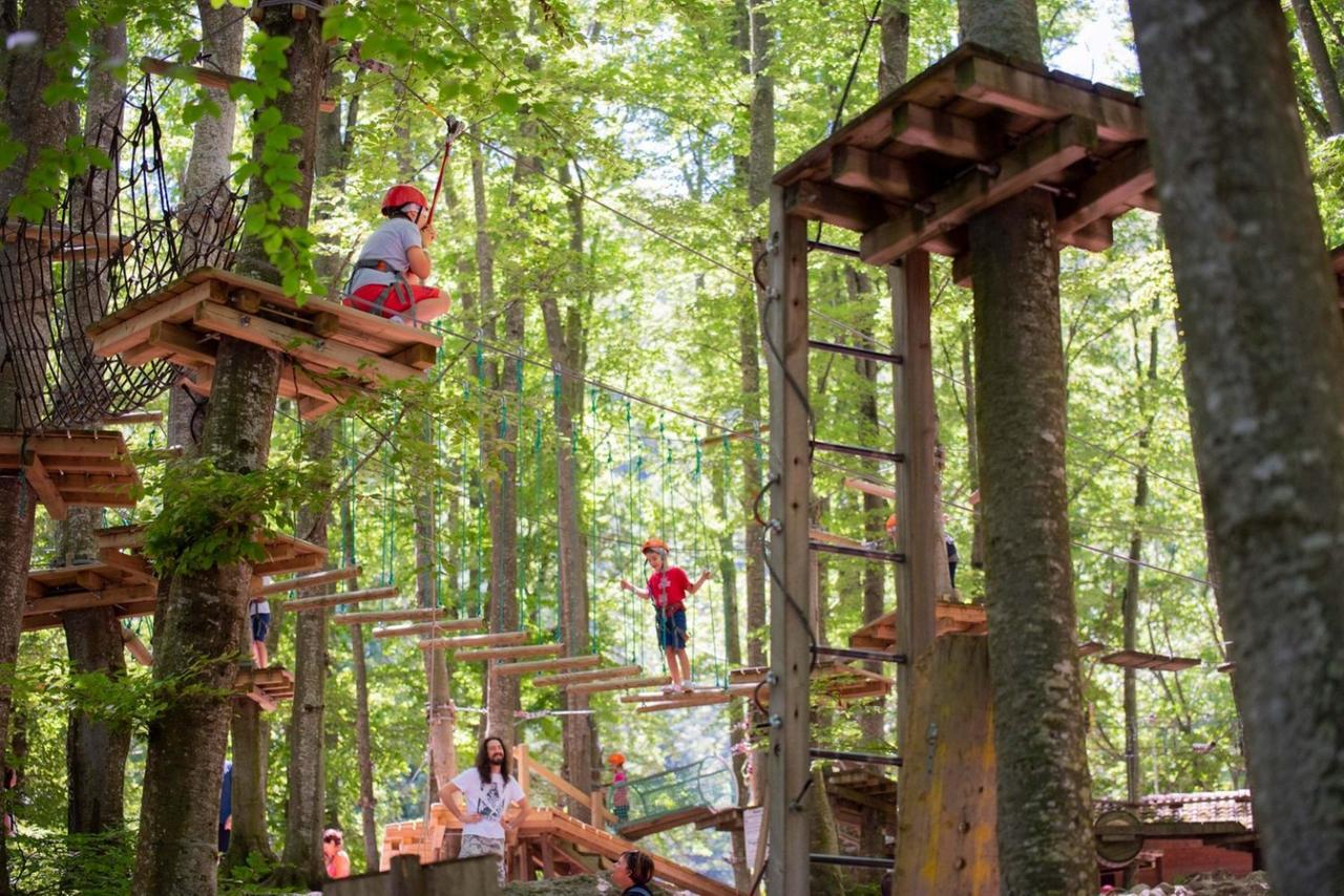 
	Cerwood si trova a Cervarezza

