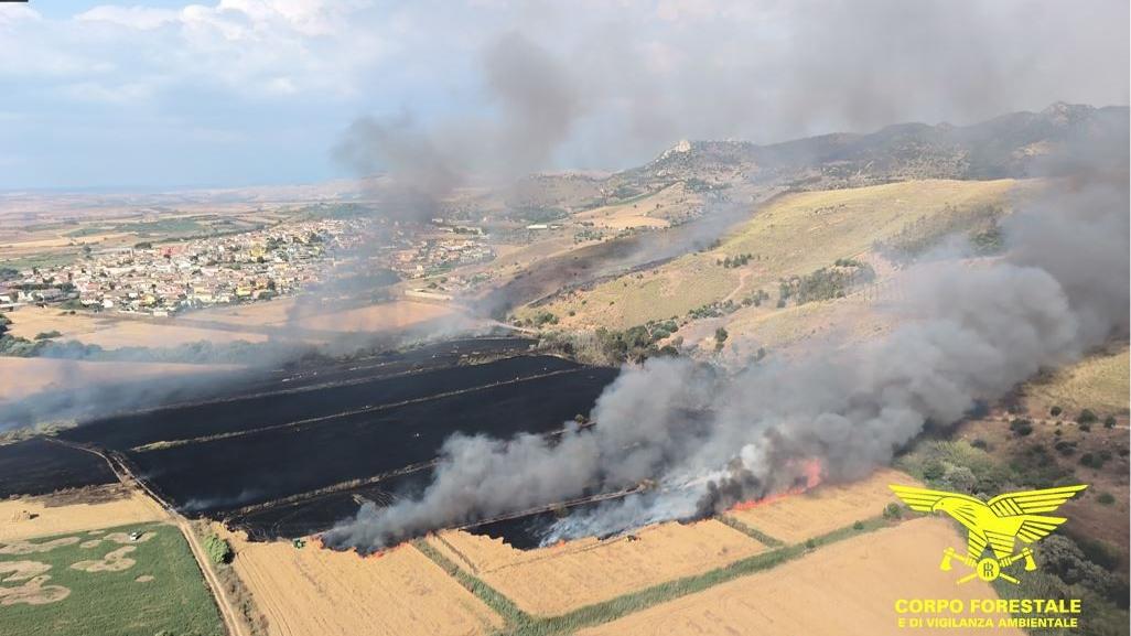 In Sardegna 21 incendi: in fumo 100 ettari di macchia mediterranea, morti capi di bestiame