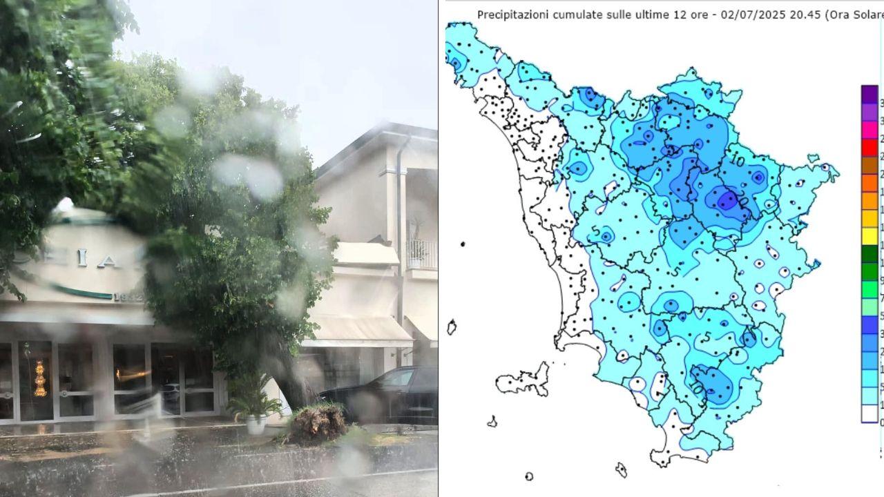 
	Un albero sdradicato a Ponsacco e la pioggia caduta ieri (foto Cmt)

