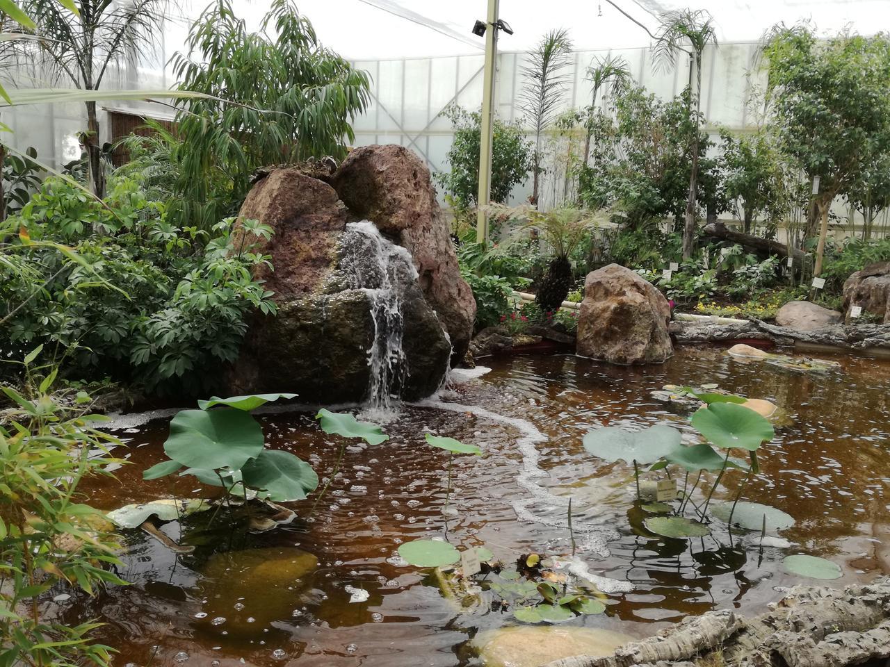 
	La casa delle farfalle Butterfly House di Olmedo

