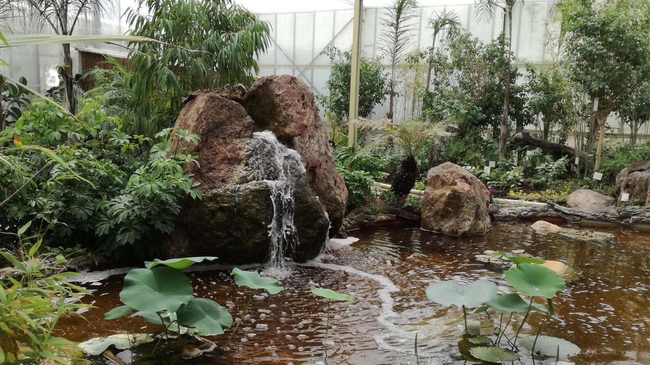 La casa delle farfalle Butterfly House di Olmedo