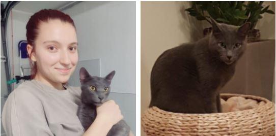 L’incredibile storia di Sat, il gatto scomparso e ritrovato dopo oltre un anno