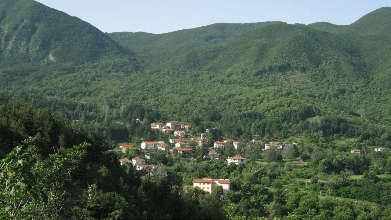 
	I boschi di San Godenzo&nbsp;

