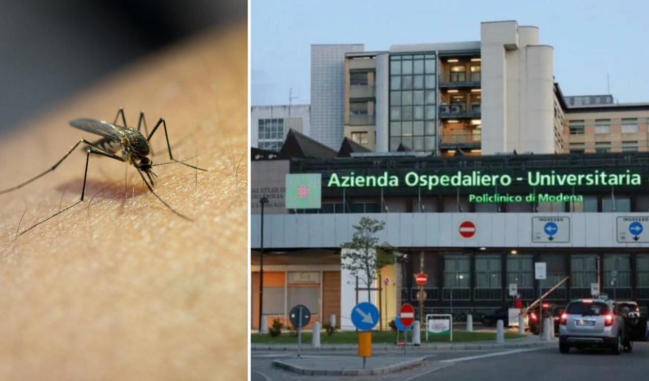 
	La 75enne &egrave; ricoverata al Policlinico

