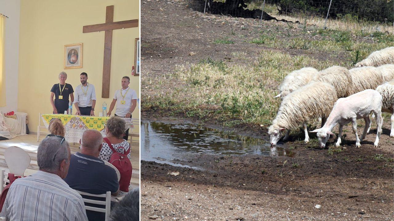 Siccità, animali senz’acqua nella Nurra: «Autobotti o sarà una strage»