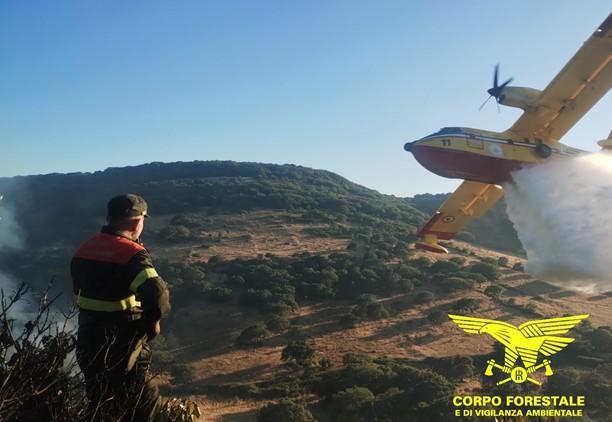 Incendio nelle campagne di Loiri: sul posto elicotteri e Canadair