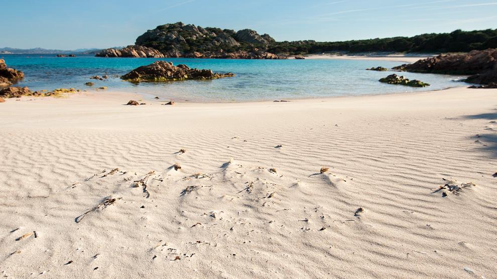 Uno scorcio della Spiaggia Rosa di Budelli