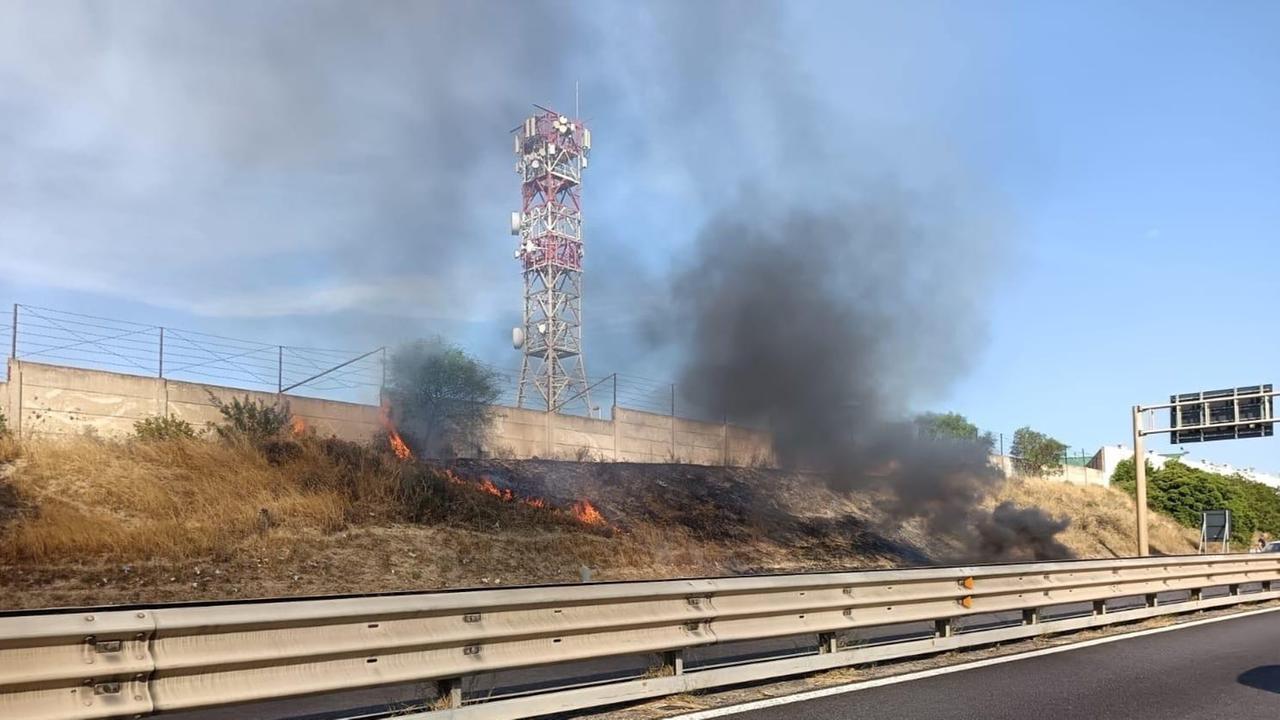 
	(foto di Mario Rosas)

