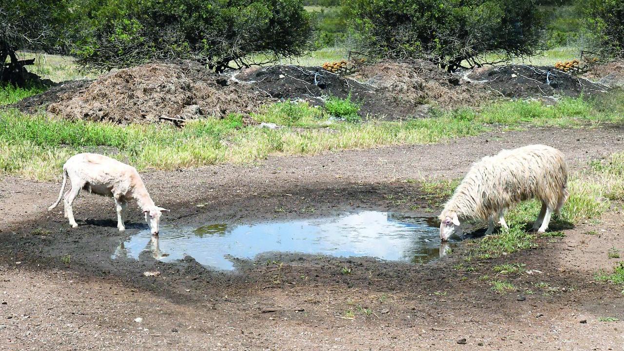 Nurra, arrivano le autobotti ma per le aziende è emergenza