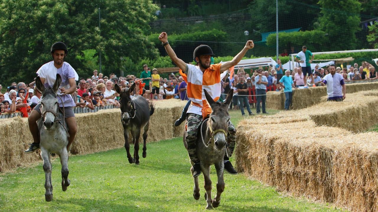 Montecreto e l'Appennino modenese in festa: è la domenica del Palio degli asini