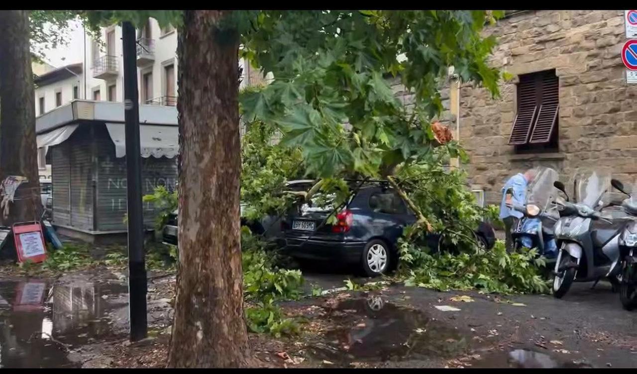 Temporale su Firenze: alberi caduti e danni. Quanto durerà l’allerta meteo