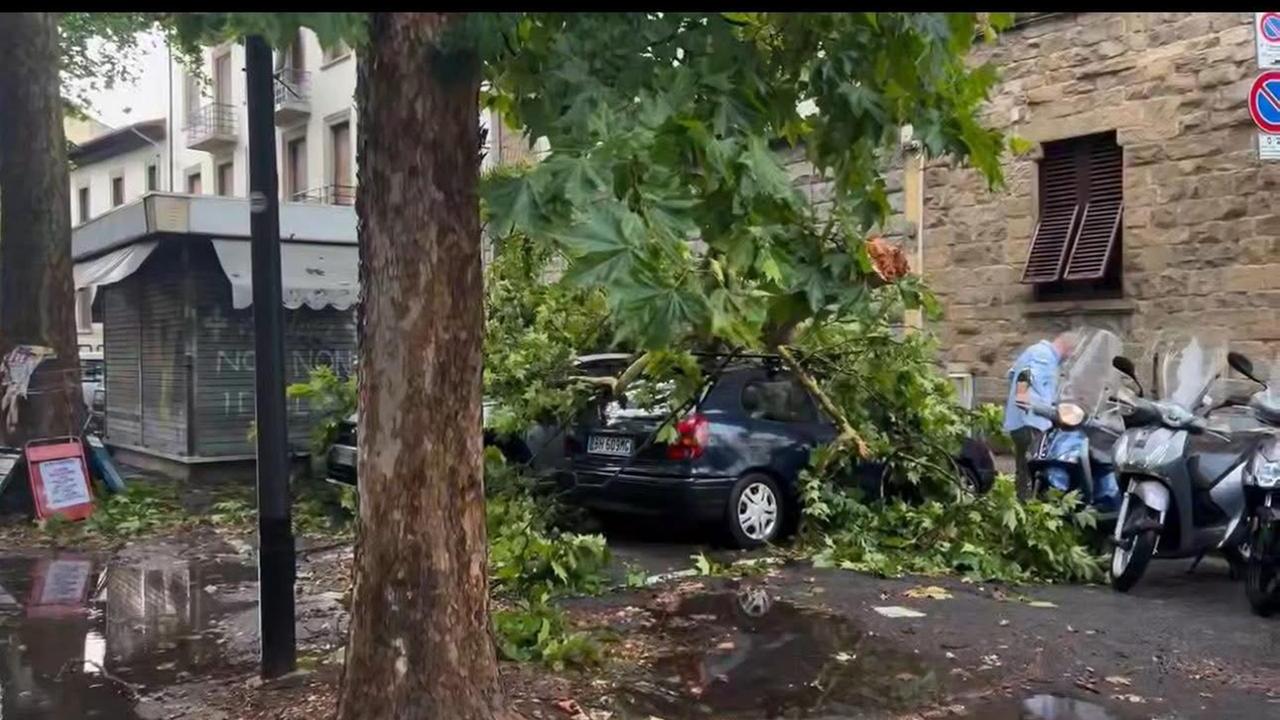 Temporale su Firenze: alberi caduti e danni. Quanto durerà l’allerta meteo