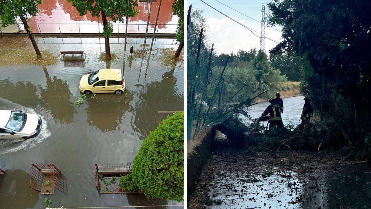 
	Allagamenti a Certaldo e l'albero caduto a Montespertoli

