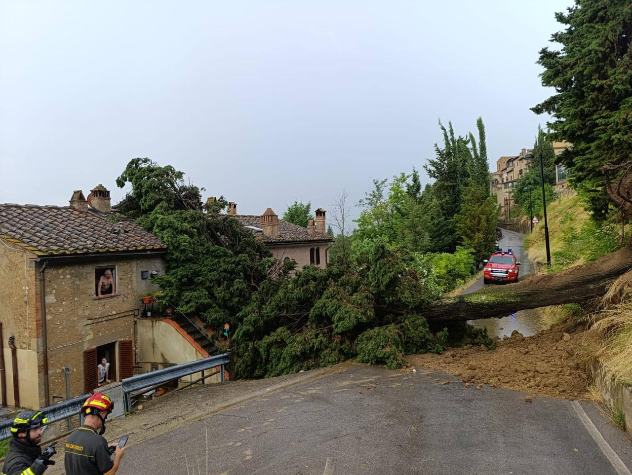 
	L'albero caduto su un'abitazione a San Gimignano (foto Facebook / Andrea Marrucci Sindaco)

