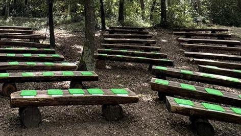 Immersi nella natura di Livorno: concerto al tramonto nella tenuta Bellavista Insuese