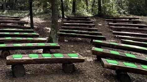 Immersi nella natura di Livorno: concerto al tramonto nella tenuta Bellavista Insuese