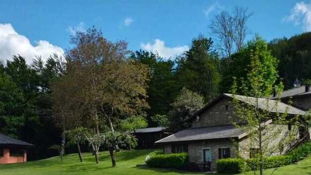 Alla scoperta dell’agriturismo Feliceto a Fanano: dove la natura circonda tutto