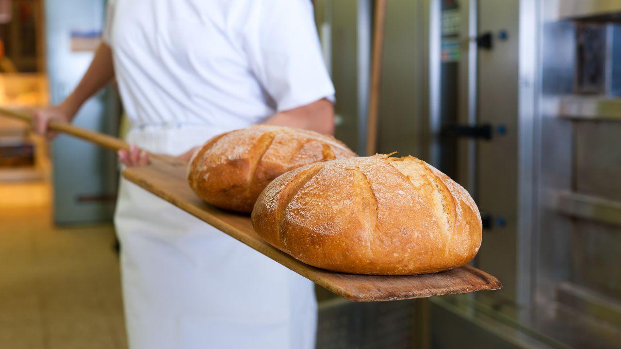 
	Tre panifici della provincia di Pisa tra i migliori d'Italia (Foto di repertorio)

